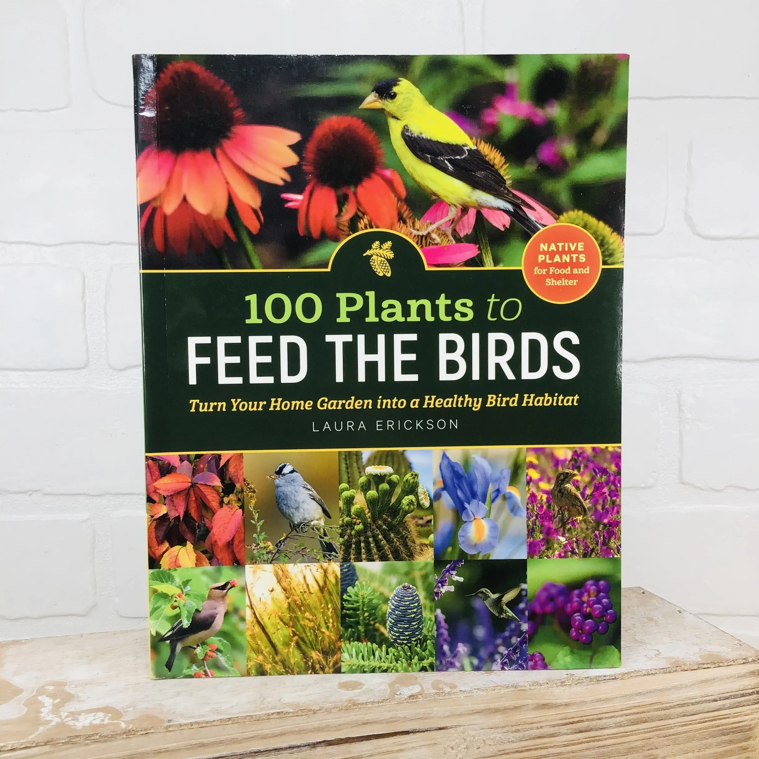 100 Plants to Feed the Birds