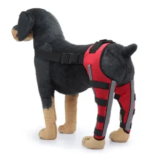 AnniePaw Dog Leg Recovery Braces Support Quality Care Canine Health