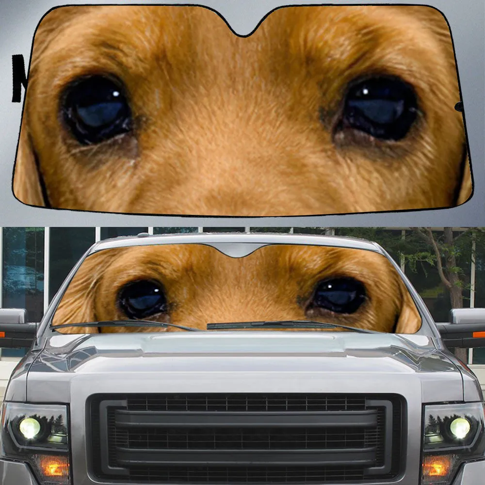 English Cocker Spaniel's Eyes Beautiful Dog Eyes Car Sun Shade Cover Auto Windshield