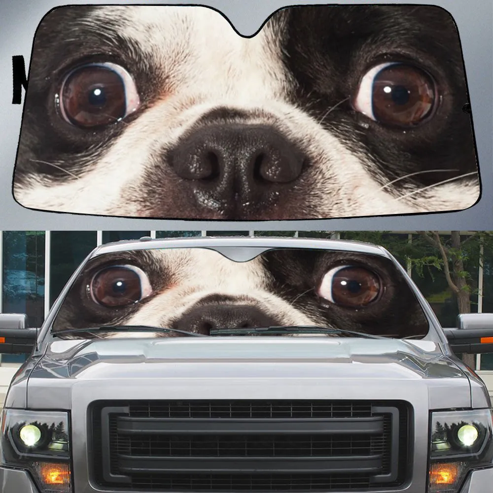 French Bulldog's Eyes Beautiful Dog Eyes Car Sun Shade Cover Auto Windshield Coolspod