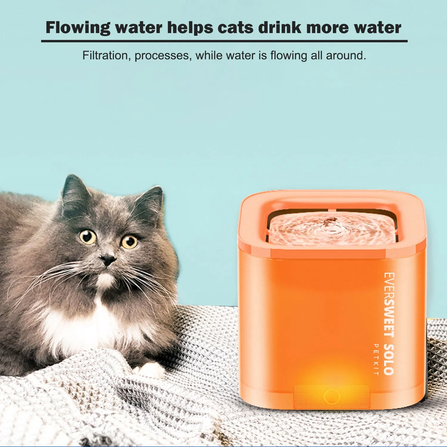 Petkit Eversweet Solo Pet Dog Cat Smart Water Dispenser Drinking Fountain feeder Bowl Ultra-Silent - green