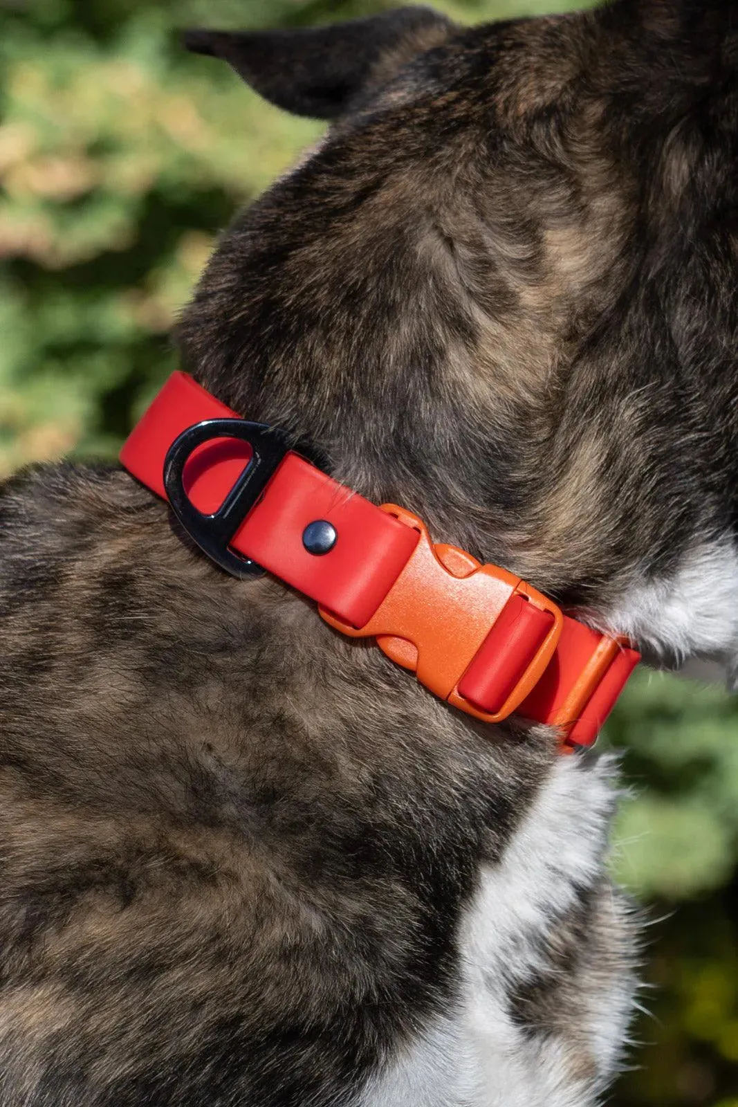 Scarlet Beanie with Pom & Waterproof Collar Matching Set