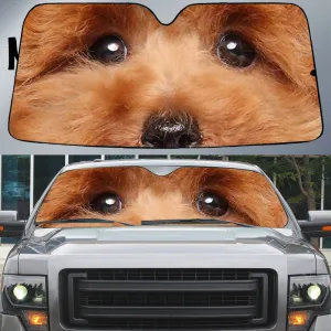 Toy Poodle's Eyes Beautiful Dog Eyes Car Sun Shade Cover Auto Windshield